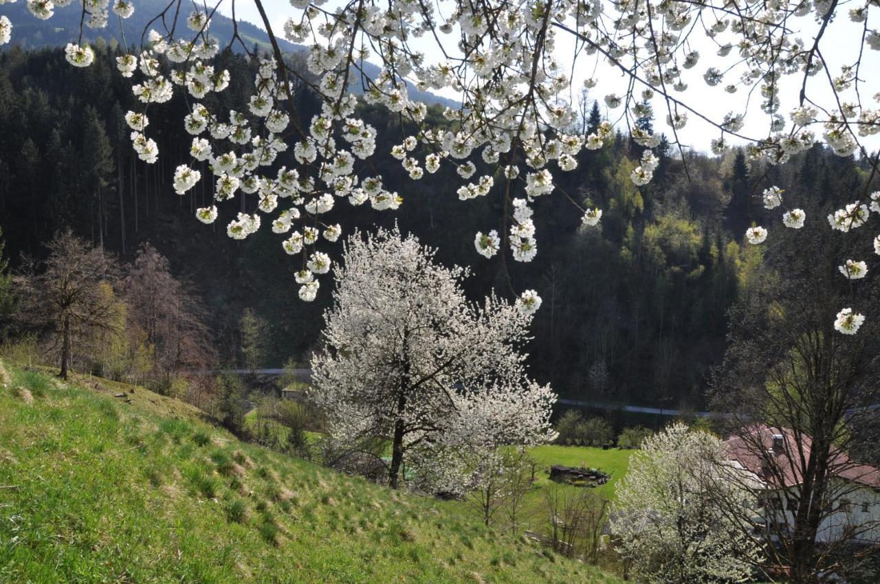 Gaestehaus Pension Edelweiss Kolsass Δωμάτιο φωτογραφία